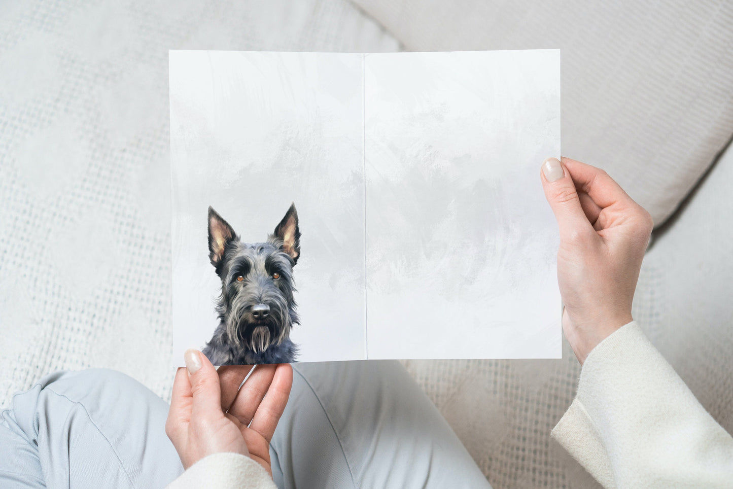 Scottish Terrier Pet Portrait Illustration Greetings Card