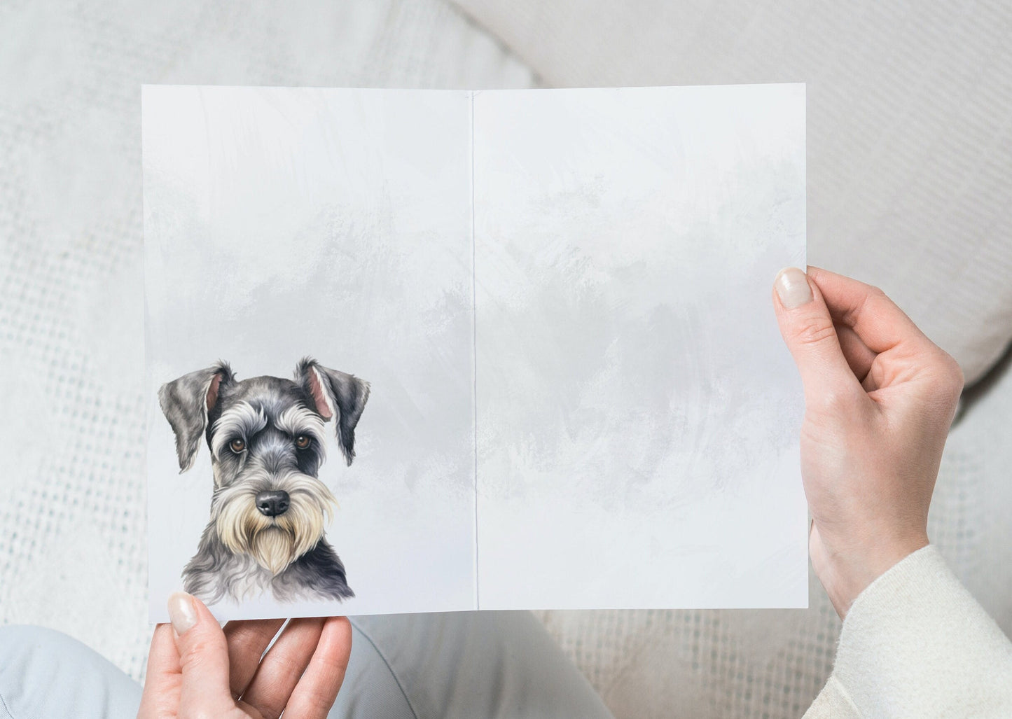 Miniature Schnauzer Pet Portrait Illustration Greetings Card