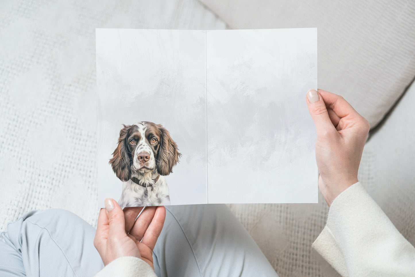 Springer Spaniel Pet Portrait Illustration Greetings Card